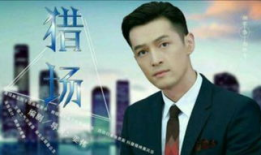 电视剧大全在线,盘点热门剧集，重温经典瞬间